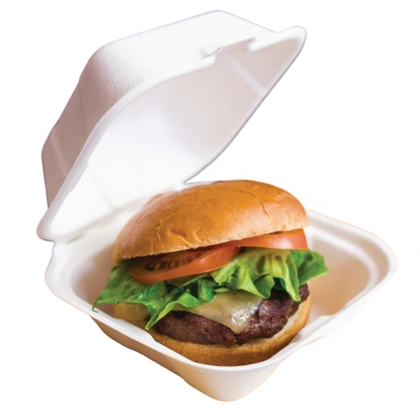 6 x 6" Bagasse Takeaway Burger Box – Compostable